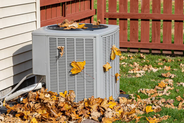 Best Local HVAC Companies  in Edisto, SC